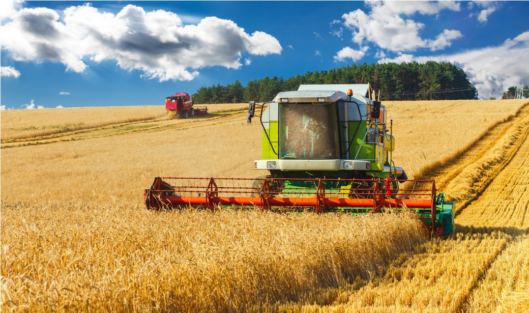 Combine harvester working on a wheat field.