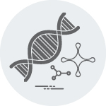 Research Icon