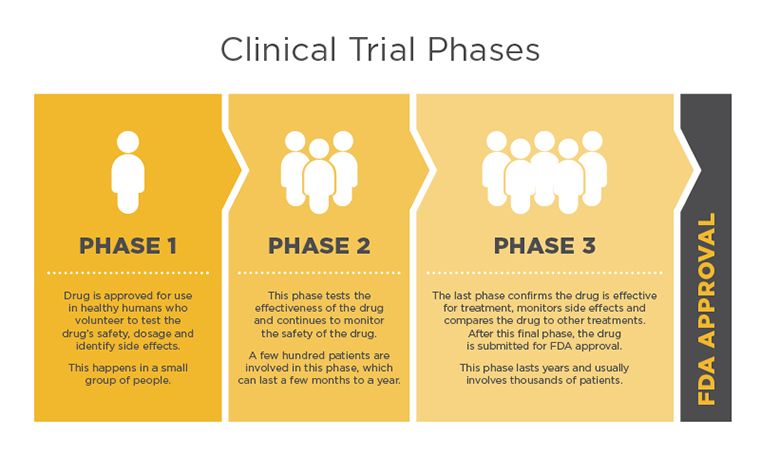 clinical trial phases