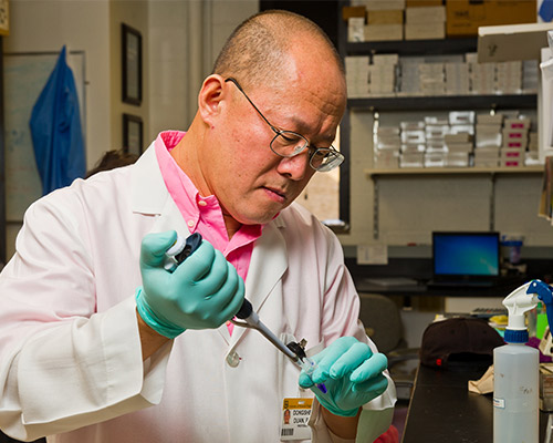 Photo of Dongsheng Duan conducting research.