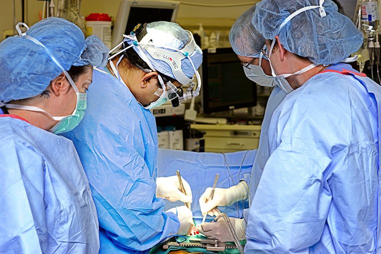 photo of surgeons