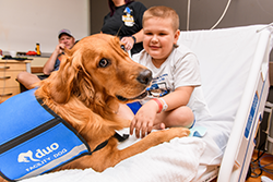 Photo of Link, the Children's Hospital dog
