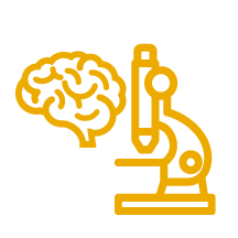 brain and microscope icon
