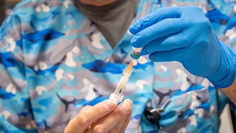 doctor filling a syringe