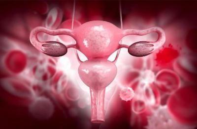 cancer care gynecologic oncology reproductive female system