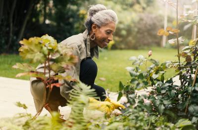 Photo of woman working in flower bed