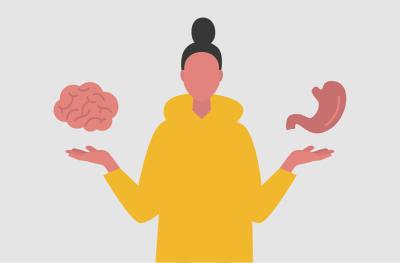 The Gut-Brain Connection graphic