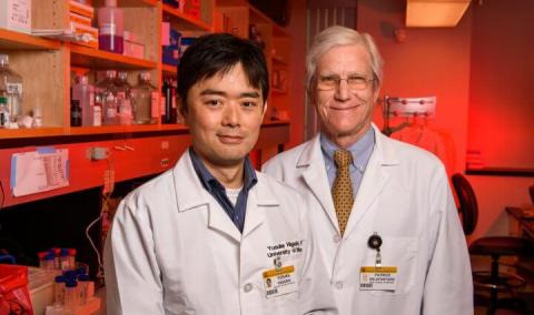 Yusuke Higashi, PhD, and Patrick Delafontaine, MD, have a paper being published in the journal Circulation.