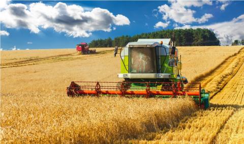 Combine harvester working on a wheat field.