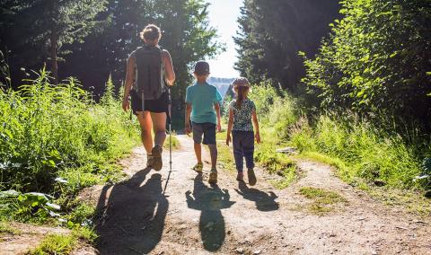 family hiking in the woods