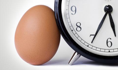 egg and clock