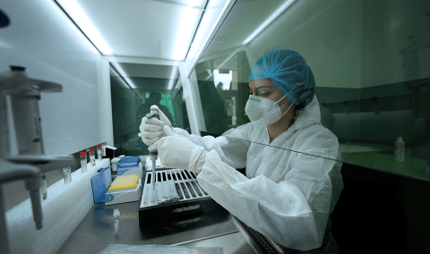 Photo of scientist working in laboratory with pipette and reagent for coronavirus testing behind fume hood