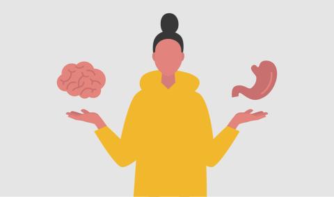 The Gut-Brain Connection graphic
