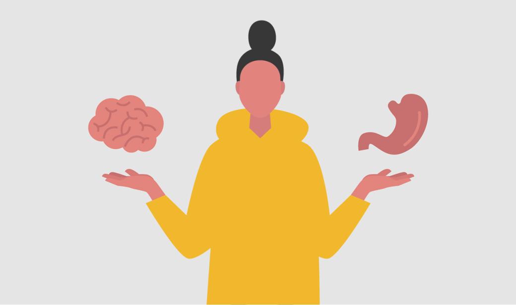 The Gut-Brain Connection graphic