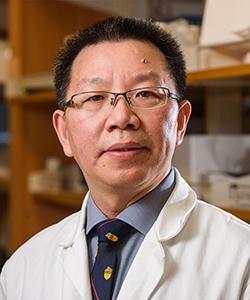 Guangfu Li, PhD, DVM